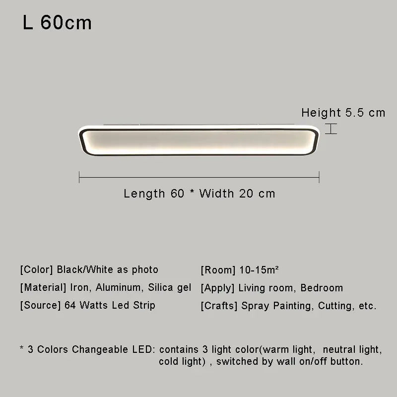 Modern with Remote Control Dimmable Flush Mount Bedroom Living Room Ceiling Light