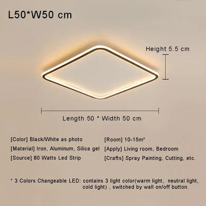 Modern with Remote Control Dimmable Flush Mount Bedroom Living Room Ceiling Light