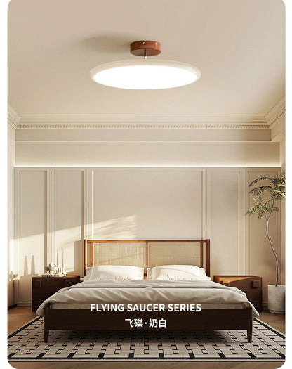 Colorful Ceiling Lighting LED Living Room Kitchen Home Decor Lighting