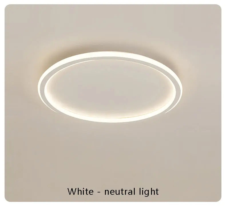 Modern with Remote Control Dimmable Flush Mount Bedroom Living Room Ceiling Light