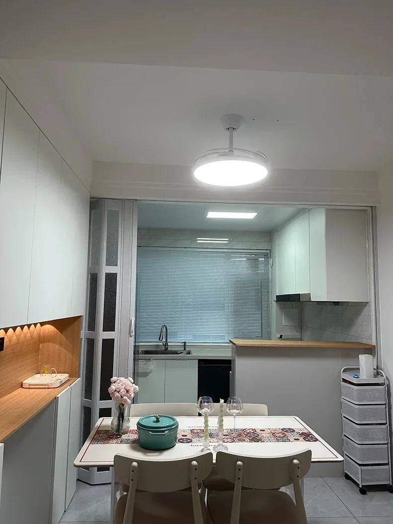 Ceiling Fan With Light Modern Remote Smart Invisible Ceiling Fan Bedroom Lamp