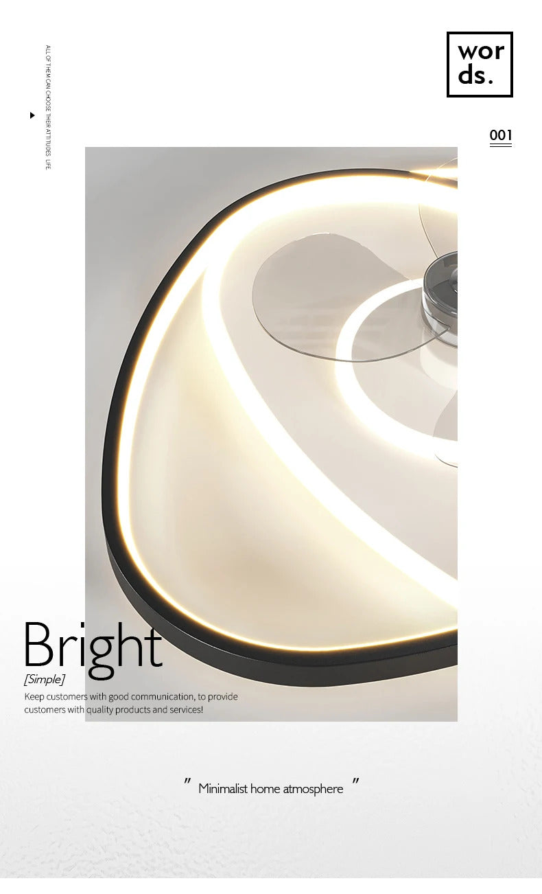 Electric Fan Light Modern LED Ceiling Lamp Living Room Light