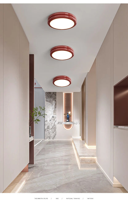 Modern Led Ceiling Light 110v 220v Living room Bedroom Ceiling Light