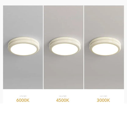 Modern Led Ceiling Light 110v 220v Living room Bedroom Ceiling Light