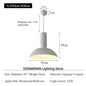 French Gypsum Pendant Light Nordic Designer Restaurant Chandelier