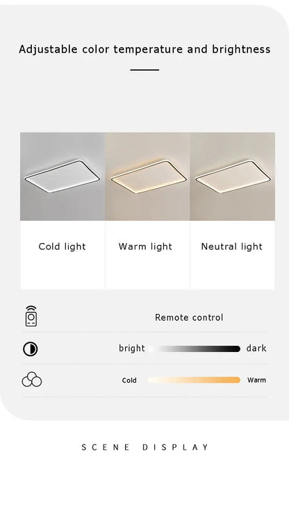 Modern with Remote Control Dimmable Flush Mount Bedroom Living Room Ceiling Light