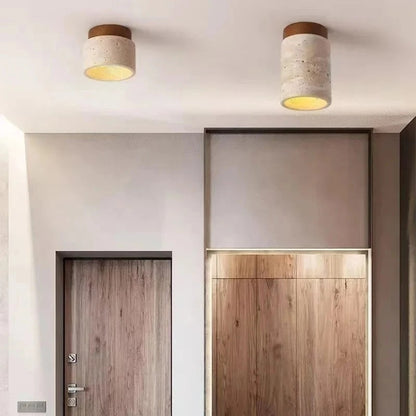 Terra Cylinder Ceiling Light