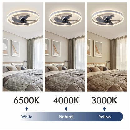 76e20191-dd90-4bbf-bcd5-7eb3c7723e69