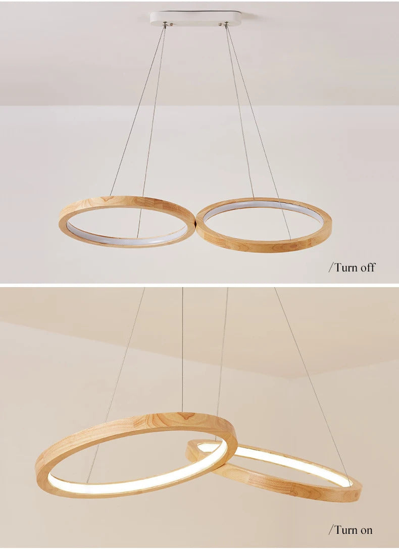 Japanese hanging lamp LED 2 round pendant light design wood light
