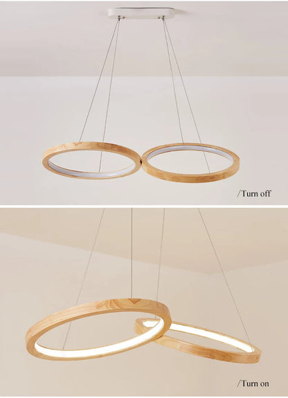 Japanese hanging lamp LED 2 round pendant light design wood light