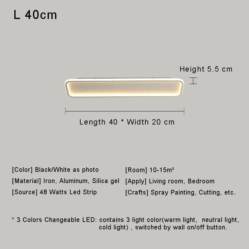 Modern with Remote Control Dimmable Flush Mount Bedroom Living Room Ceiling Light