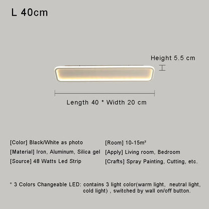 Modern with Remote Control Dimmable Flush Mount Bedroom Living Room Ceiling Light