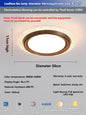 Modern Bladeless Ceiling Lamp Fan Living Room Silent Air Circulation Fan