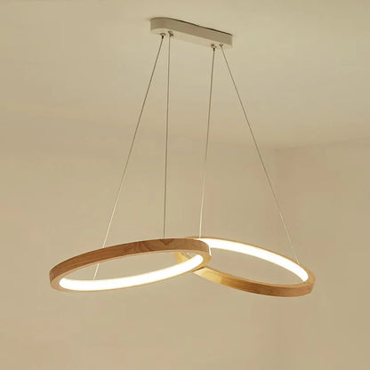 Japanese hanging lamp LED 2 round pendant light design wood light
