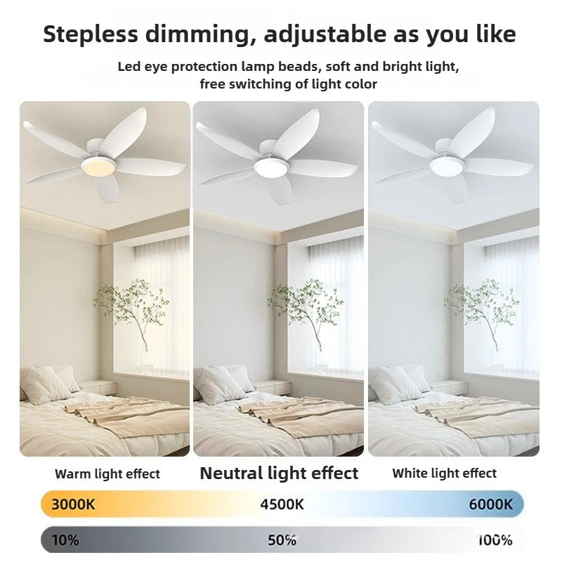 e2c633c6-2184-46f2-8c98-001903c0c583