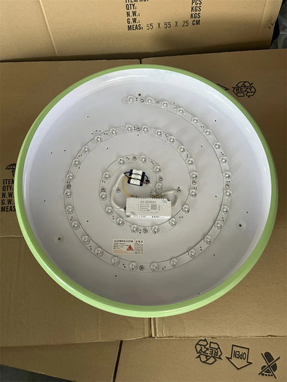 Colorful Ceiling Lighting LED Living Room Kitchen Home Decor Lighting