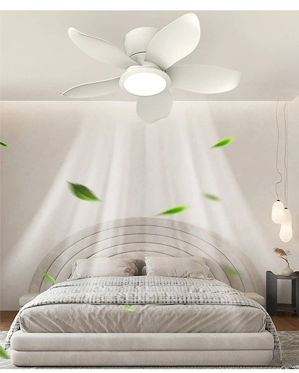 fd1ce7ac-2942-45e4-92e5-be3c00639d0f