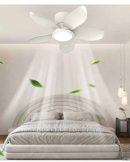 fd1ce7ac-2942-45e4-92e5-be3c00639d0f