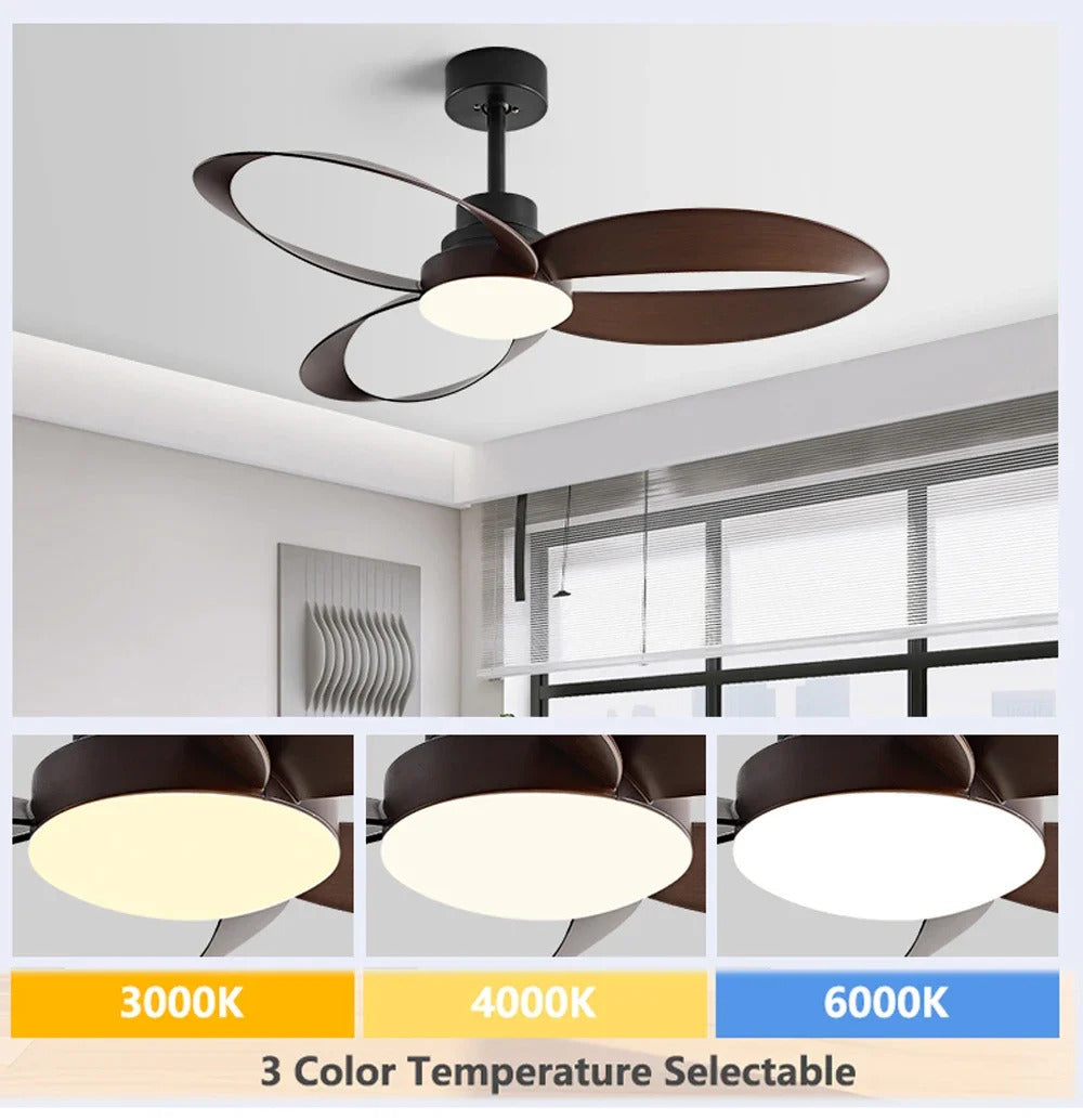 52ff8071-8a38-4f55-b6f7-b5462212df9f