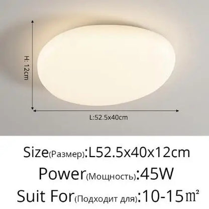 Milky white Ceiling Lamp esthetic room ceiling light fittings
