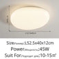 Milky white Ceiling Lamp esthetic room ceiling light fittings