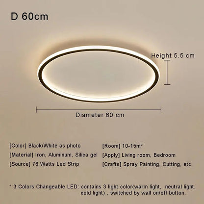 Modern with Remote Control Dimmable Flush Mount Bedroom Living Room Ceiling Light