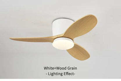 9bd00649-d050-4e16-a4d8-776c04c0908e