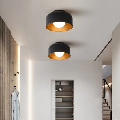 Lumosphere Ceiling Light
