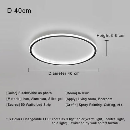 Modern with Remote Control Dimmable Flush Mount Bedroom Living Room Ceiling Light