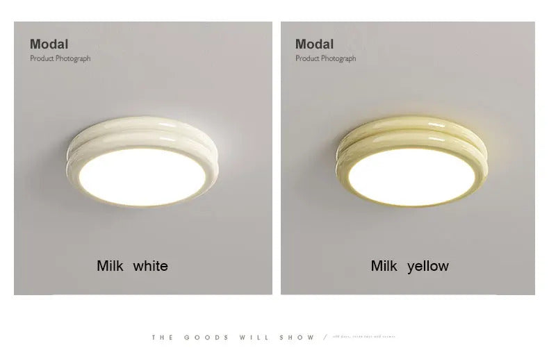 Modern Led Ceiling Light 110v 220v Living room Bedroom Ceiling Light