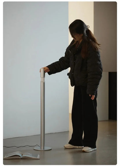 LED liftable Floor Lamp Living Room touch lamp Bedroom Bedside Decor Ambient Lighting