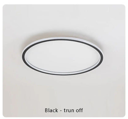 Modern with Remote Control Dimmable Flush Mount Bedroom Living Room Ceiling Light