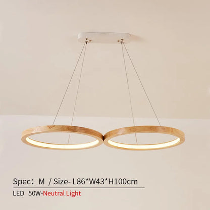 Japanese hanging lamp LED 2 round pendant light design wood light