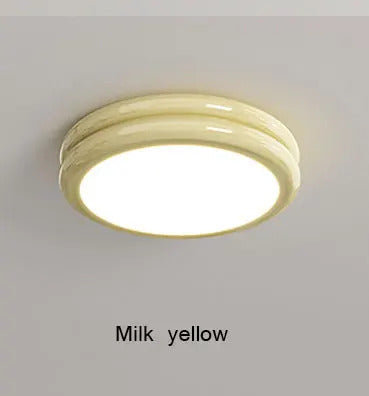 Modern Led Ceiling Light 110v 220v Living room Bedroom Ceiling Light