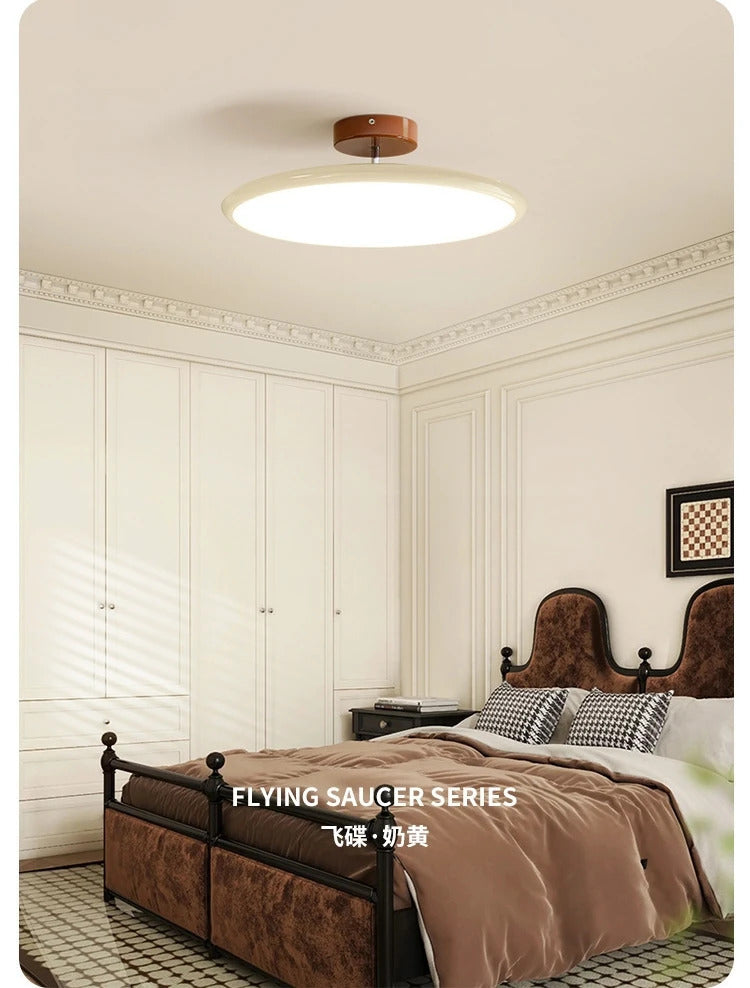 Colorful Ceiling Lighting LED Living Room Kitchen Home Decor Lighting