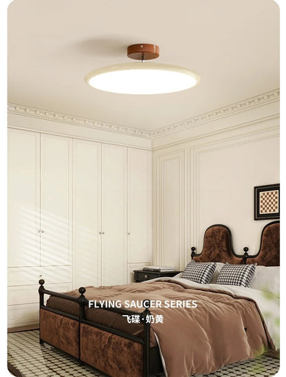 Colorful Ceiling Lighting LED Living Room Kitchen Home Decor Lighting