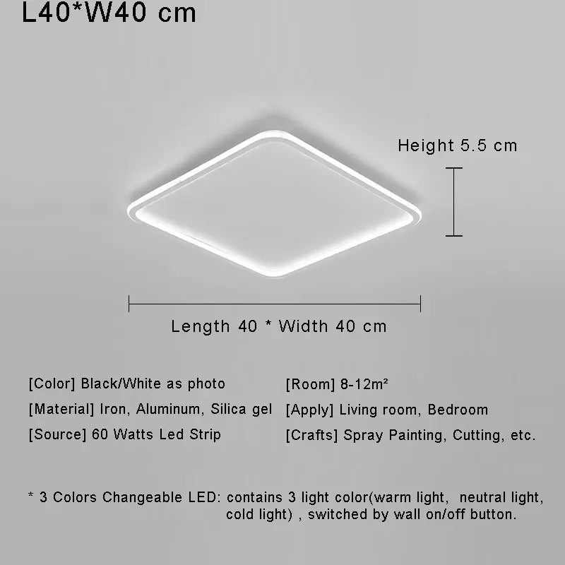 Modern with Remote Control Dimmable Flush Mount Bedroom Living Room Ceiling Light