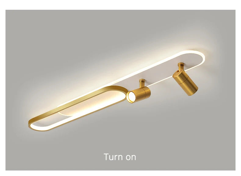 Minimalist Ceiling Lights Home Indoor Decor Lighting