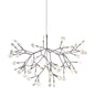 Nordic Firefly Led Ceiling Chandelier Heracleum Pendant lamp