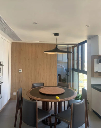 Modern Home Decoration Pendant Light Salon Irregular Resin Led Lamp