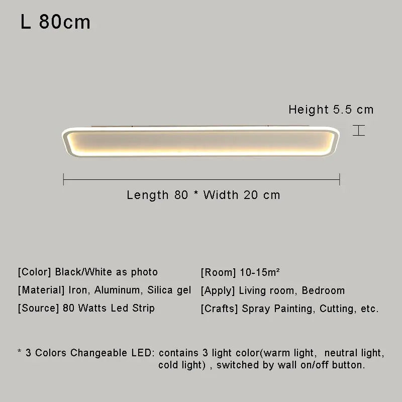 Modern with Remote Control Dimmable Flush Mount Bedroom Living Room Ceiling Light