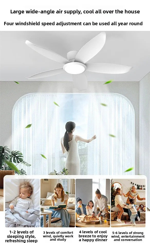 516a39bd-3516-4e8b-b13d-a24f81ff623e