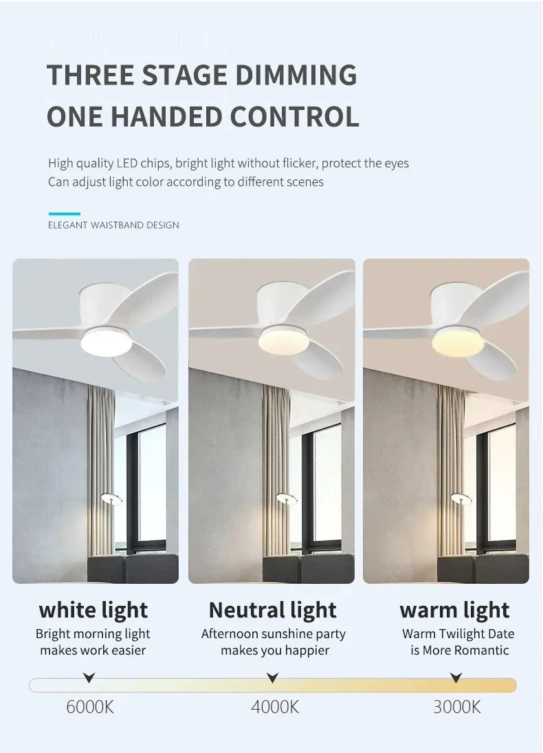 986d42e5-52fc-45ed-9a74-98d6d5c0055f