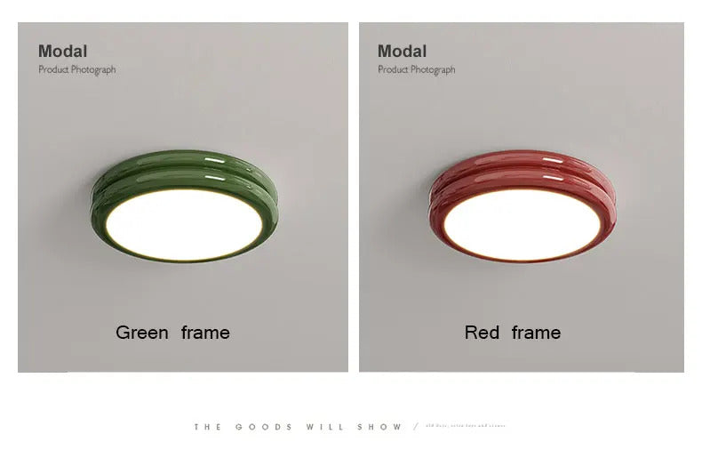 Modern Led Ceiling Light 110v 220v Living room Bedroom Ceiling Light