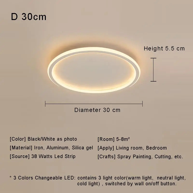 Modern with Remote Control Dimmable Flush Mount Bedroom Living Room Ceiling Light