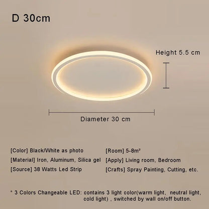 Modern with Remote Control Dimmable Flush Mount Bedroom Living Room Ceiling Light