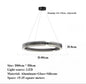 Modern black round chandelier Nordic simple glass lampshade ring LED pendant lights
