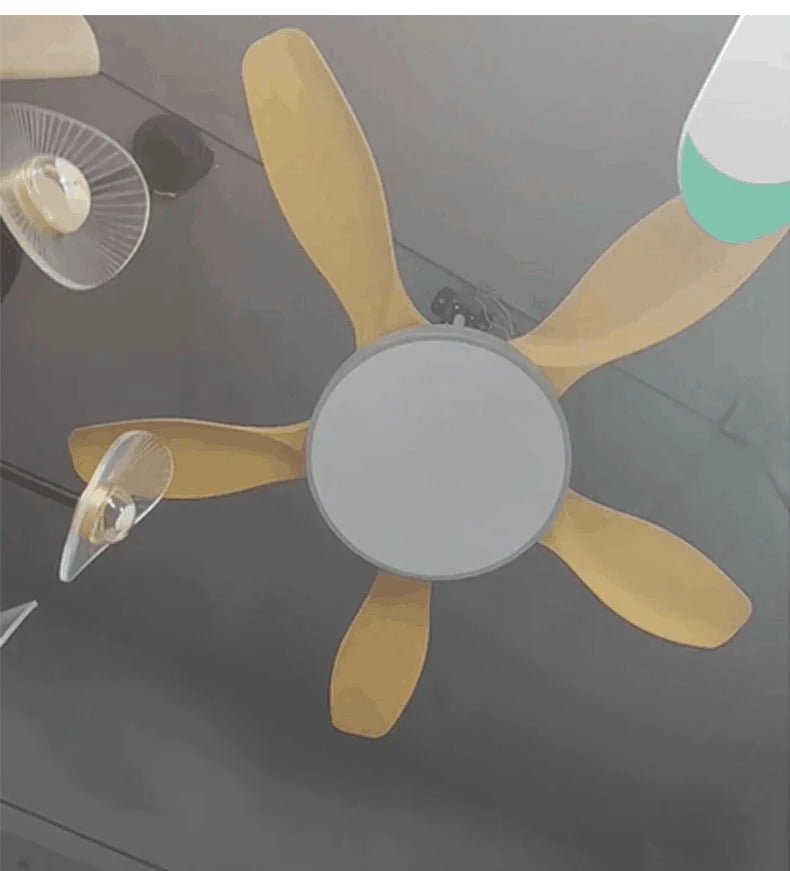 Nordic Large Ceiling Fans light Modern Natural wood color Simple Remote Control Ceiling Fan lamp