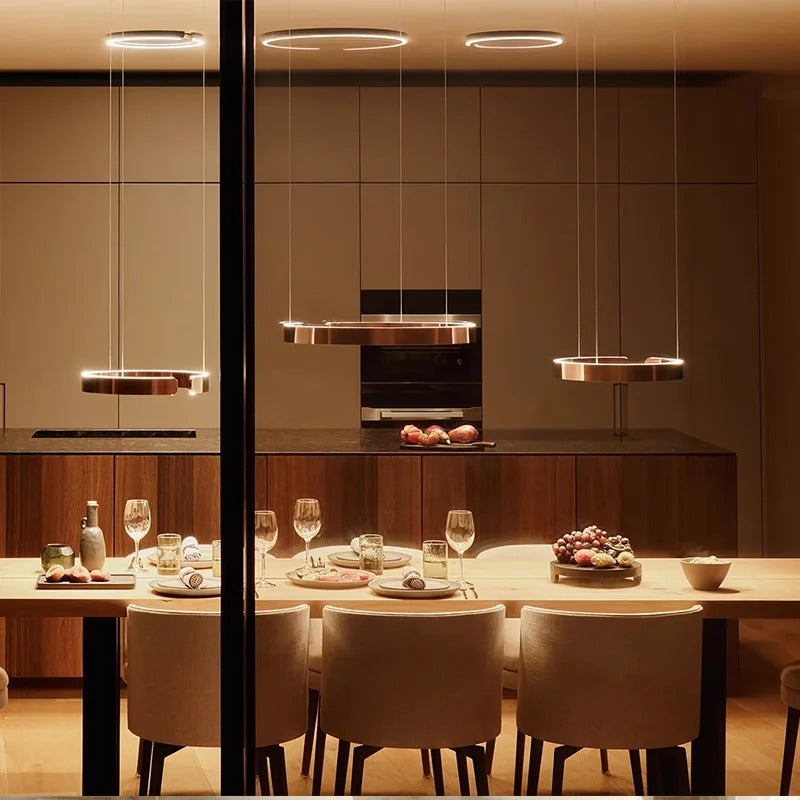 Nordic Led Ring Chandelier Modern Design Rose Gold Black White and Gold Lamp