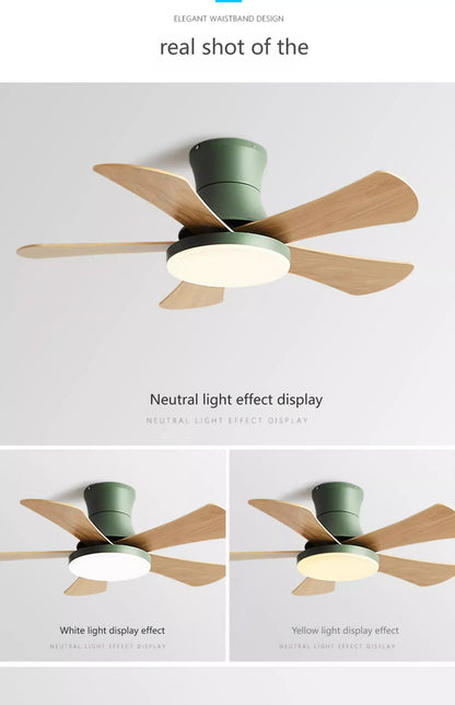 Nordic colorful Ceiling fan light Modern Children bedroom Indoor Ceiling fan lamp